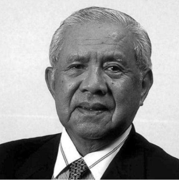 Tengku Tan Sri Ahmad Rithauddeen